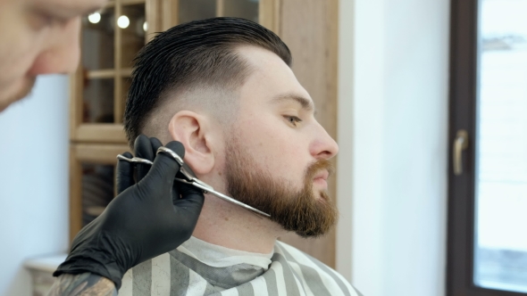 VideoHive Master Cuts Hair and Beard in the Barber Shop Cut a Beard with Scissors 19620210 VideoHive Master Cuts Hair and Beard in the Barber Shop Cut a Beard with Scissors 19620210