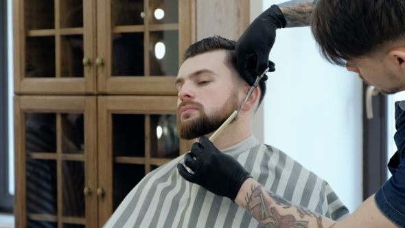 VideoHive Master Cuts Hair and Beard in the Barber Shop Cut a Beard with Scissors 19620259 VideoHive Master Cuts Hair and Beard in the Barber Shop Cut a Beard with Scissors 19620259