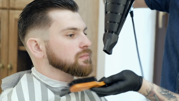 VideoHive Brutal Bearded Customer Getting His Beard Cut By a Young Hairdresser 19620278 VideoHive Brutal Bearded Customer Getting His Beard Cut By a Young Hairdresser 19620278