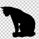 Cat Silhouette Cat Silhouette - VideoHive Item for Sale