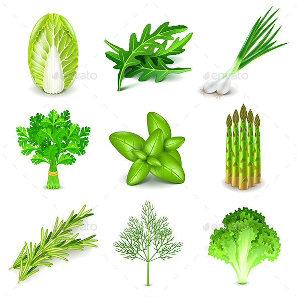 Green Vegetables and Spices Icons Vector Set - Food Objects