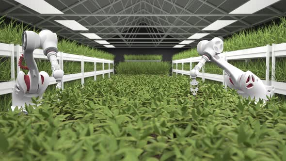 Automated Smart Agriculture With Robots