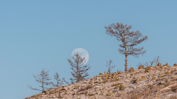 Large Full Bright Moon Rises From Above Hill into Sky