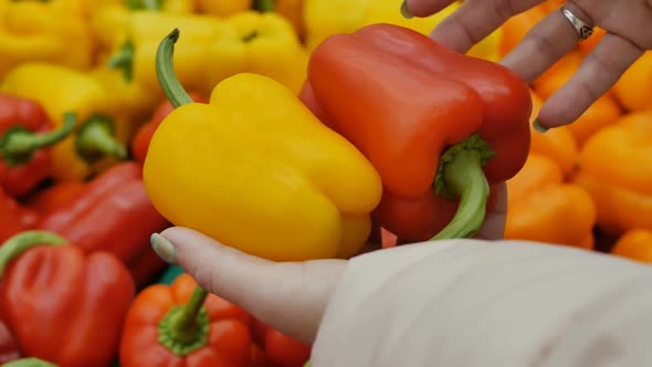 Woman's Hands with Green Manicure Buy Bell Peppers Red and Yellow