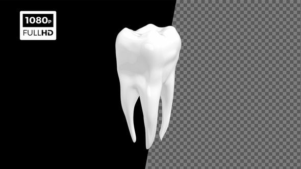 Tooth Rotate V2