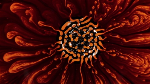 Fantastic Patterns and Shapes. Ferrofluid and Paint