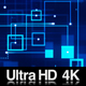 4K Digital Data of Network Technology - VideoHive Item for Sale