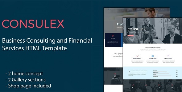 Special Consulex - Business Consulting and Financial Services HTML Template