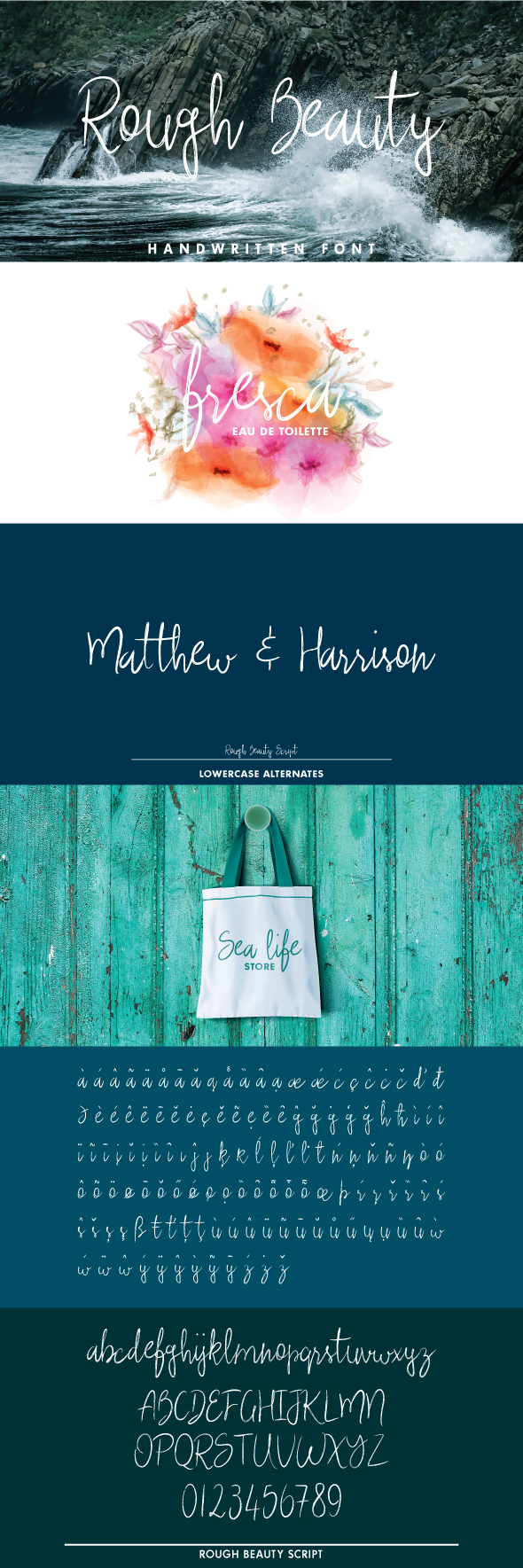 Rough Beauty Script