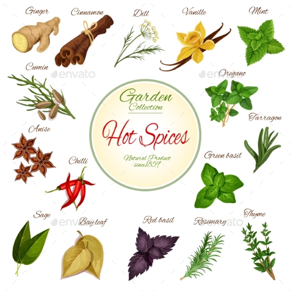 Hot Spice, Herb and Condiment Poster Design - Food Objects