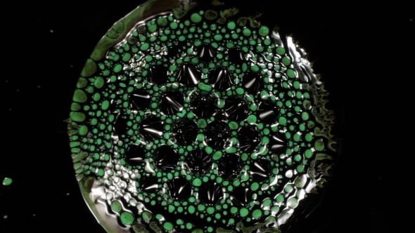 Fantastic Patterns and Shapes. Ferrofluid and Paint. .