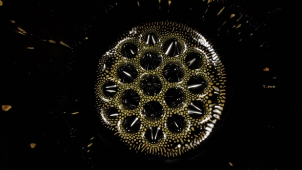 Fantastic Patterns and Shapes. Ferrofluid and Paint. .