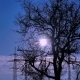 Sunrise on a Winter Morning - VideoHive Item for Sale