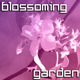 Blossoming Garden - VideoHive Item for Sale