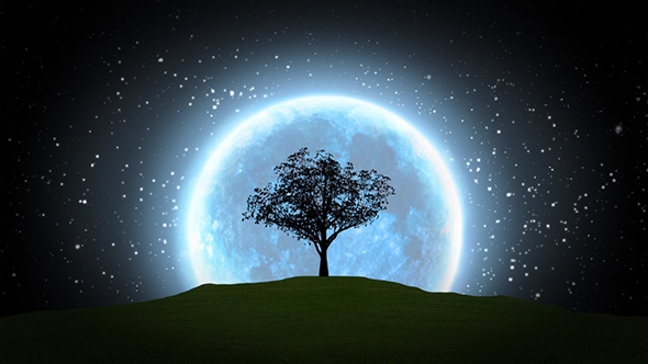 Growing Tree Silhouette On Full Moon
