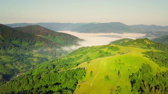 Aerial View of the Endless Lush Pastures of the Carpathian Expanses and Agricultural Land alt