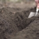 of a Farmer's Hand Making Grooves for Planting a Plant - VideoHive Item for Sale
