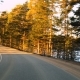 Front View From Driving Car on Road in Pine Tree Forest - VideoHive Item for Sale