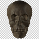 Ancient Human Skull Ancient Human Skull - VideoHive Item for Sale