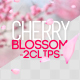 Cherry Blossom - VideoHive Item for Sale