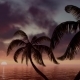 Palm Trees At Dawn of Day - VideoHive Item for Sale
