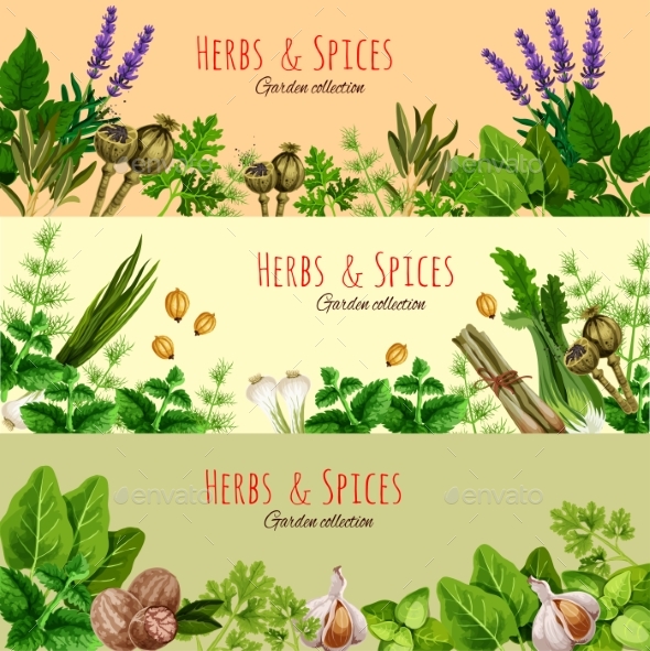 Herbs, Spices and Condiments Cartoon Banner Set - Food Objects