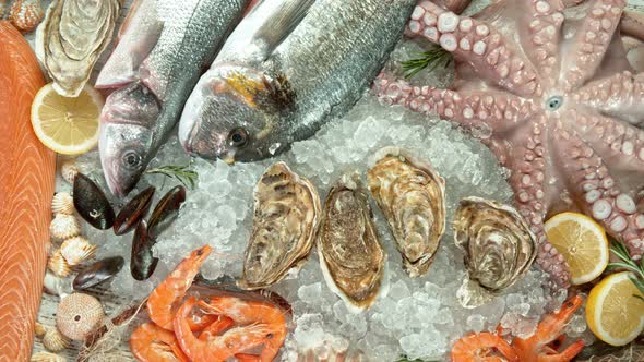 Super Slow Motion Shot of Falling Fresh Oysters Into Crushed Ice at 1000 Fps alt