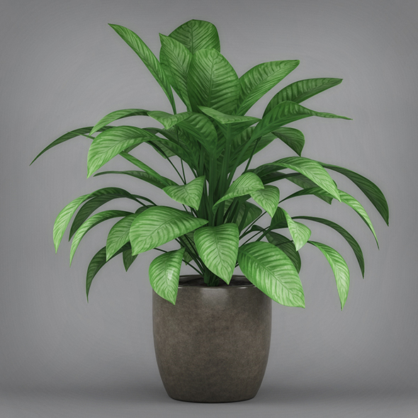 Philodendron Silk Potted - 3Docean 19674409
