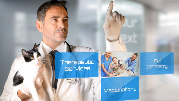 Vet Clinic - VideoHive 19675404