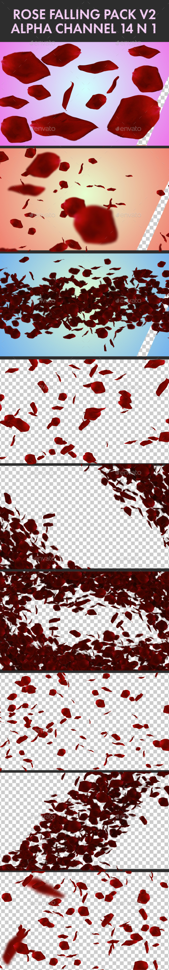 Rose Falling Pack V2 14 in 1 - Nature Backgrounds