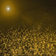 Golden Magical Mist in the Sunlight Background - VideoHive Item for Sale