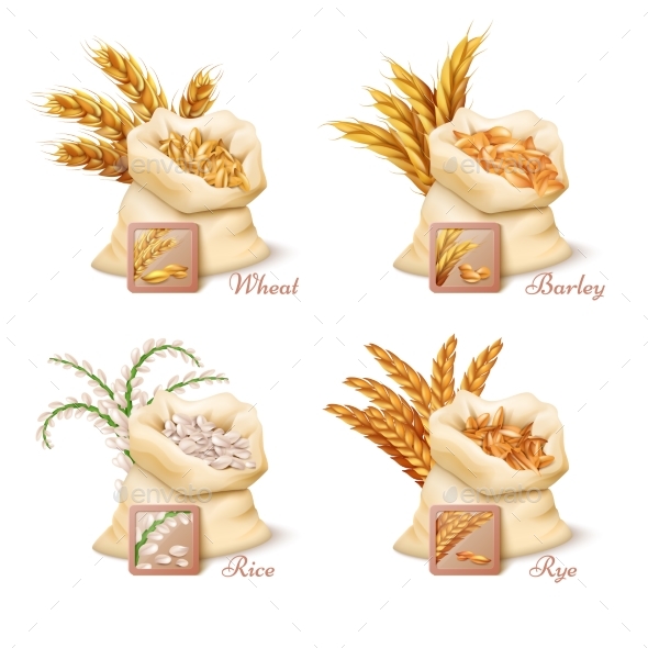 Agricultural Cereals - Wheat, Barley, Oat and Rice - Food Objects