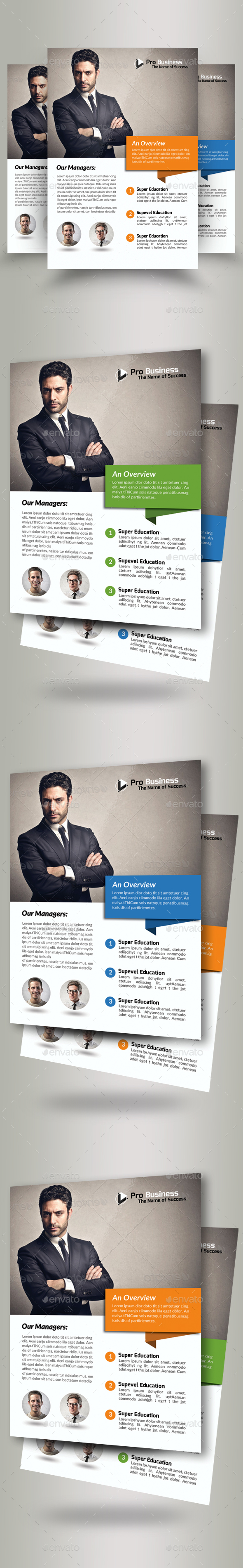 Business Solutions Consultant Flyer - Corporate Flyers