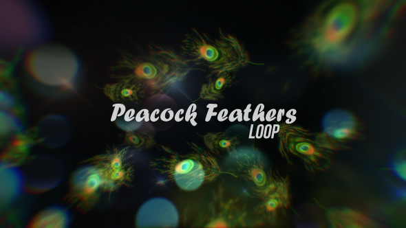 Peacock Feathers Loop