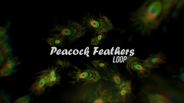 Peacock Feathers Loop V2