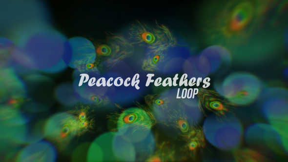 Peacock Feathers Loop V3