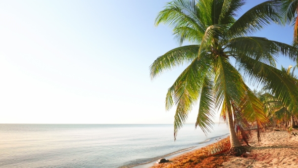 Calm Daylight Scene From the Beach alt