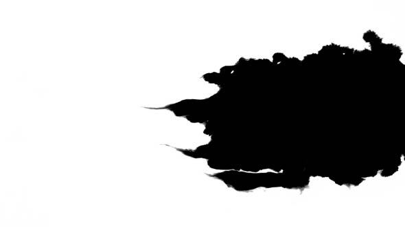 Inks Flow From Right To Left on Wet Paper 02 alt