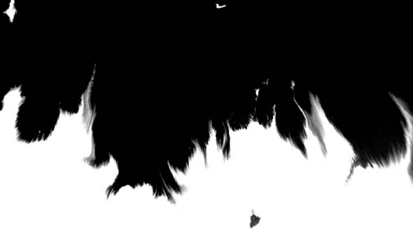 Ink Flowing From Top To Bottom on Wet Paper 06 alt