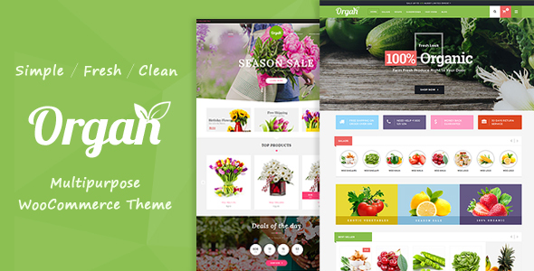 Organ - Organic - ThemeForest 19522700