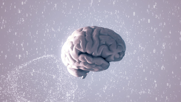 Animation of the Human Brain with Visual Effects HD