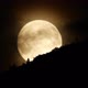 Moon with Clouds at Night Sky Over Mountain Forest Mystical and Mystery Huge Moon Nature Timelapse - VideoHive Item for Sale