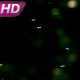Swarm Of Flying Insects - VideoHive Item for Sale