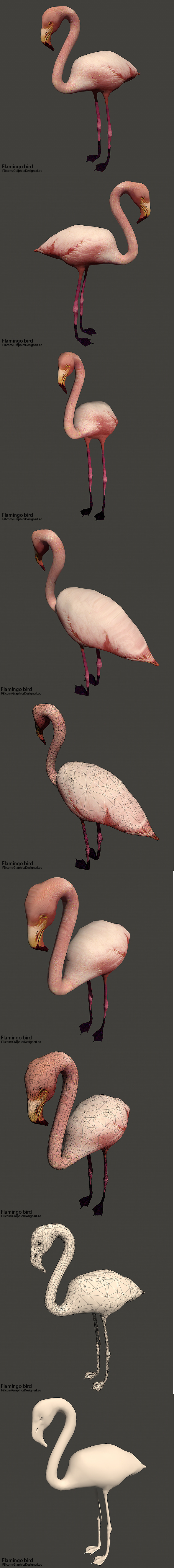 Flamingo bird ( - 3Docean 19715342