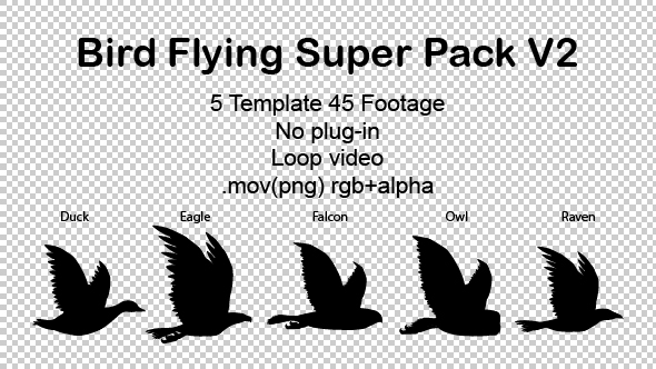 Bird Flying Super Pack V2