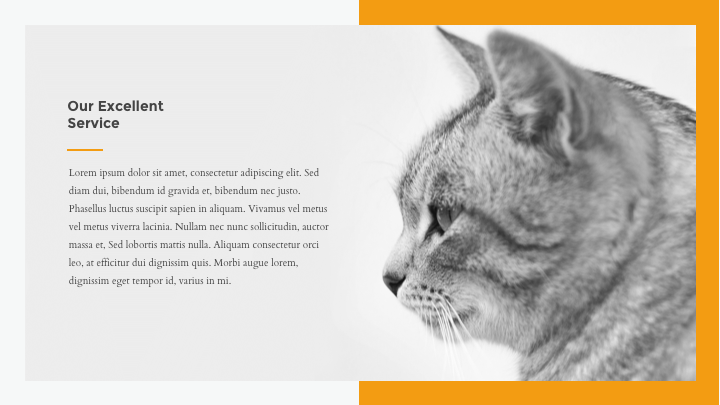 rexy modern google slides template by suavedigital graphicriver google slide themes
