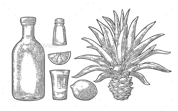 Tequila Items - Food Objects