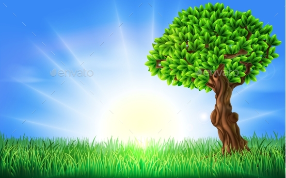 Sunny Field Tree Background - Landscapes Nature