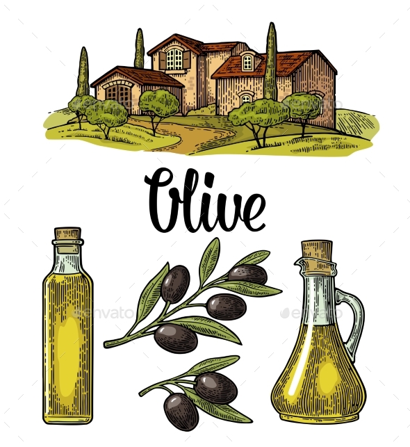 Olive Set - Animals Characters