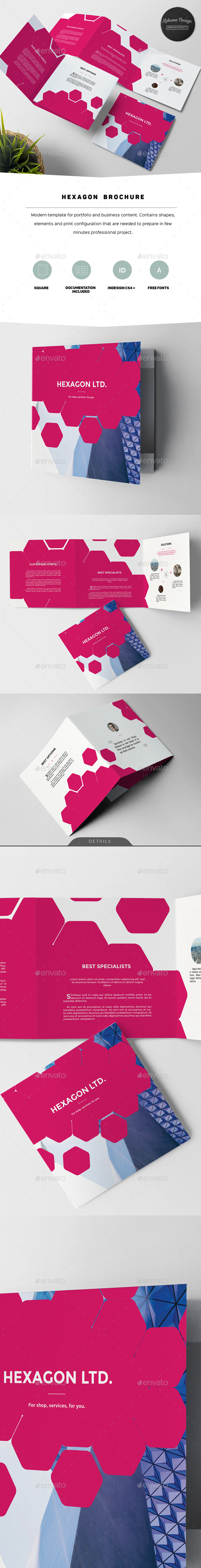 Hexagon Modern Brochure - Corporate Brochures